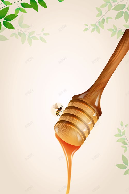 蜂蜜營養(yǎng)食品 滋補(bǔ)與創(chuàng)意設(shè)計(jì)的完美融合