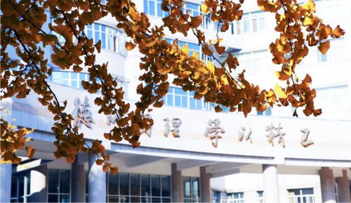 北京理工大學(xué)王牌專業(yè)盤點(diǎn) 網(wǎng)絡(luò)與信息安全、軟件開發(fā)等熱門方向不可錯(cuò)過